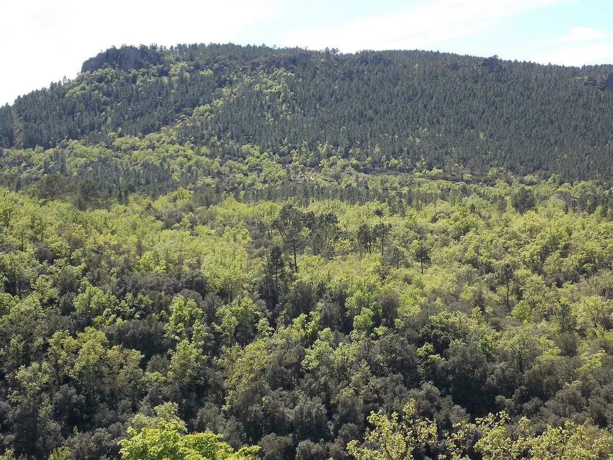 Au Relais Provencal Hotel Bagnols-en-Forêt